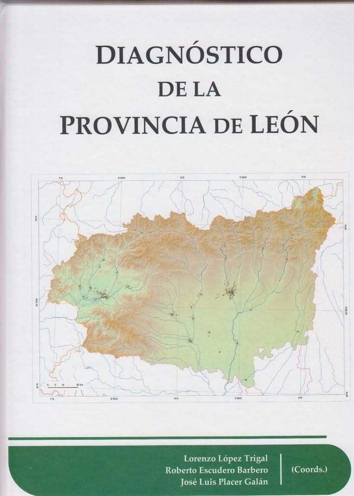 Diagnóstico de la provincia de León Books