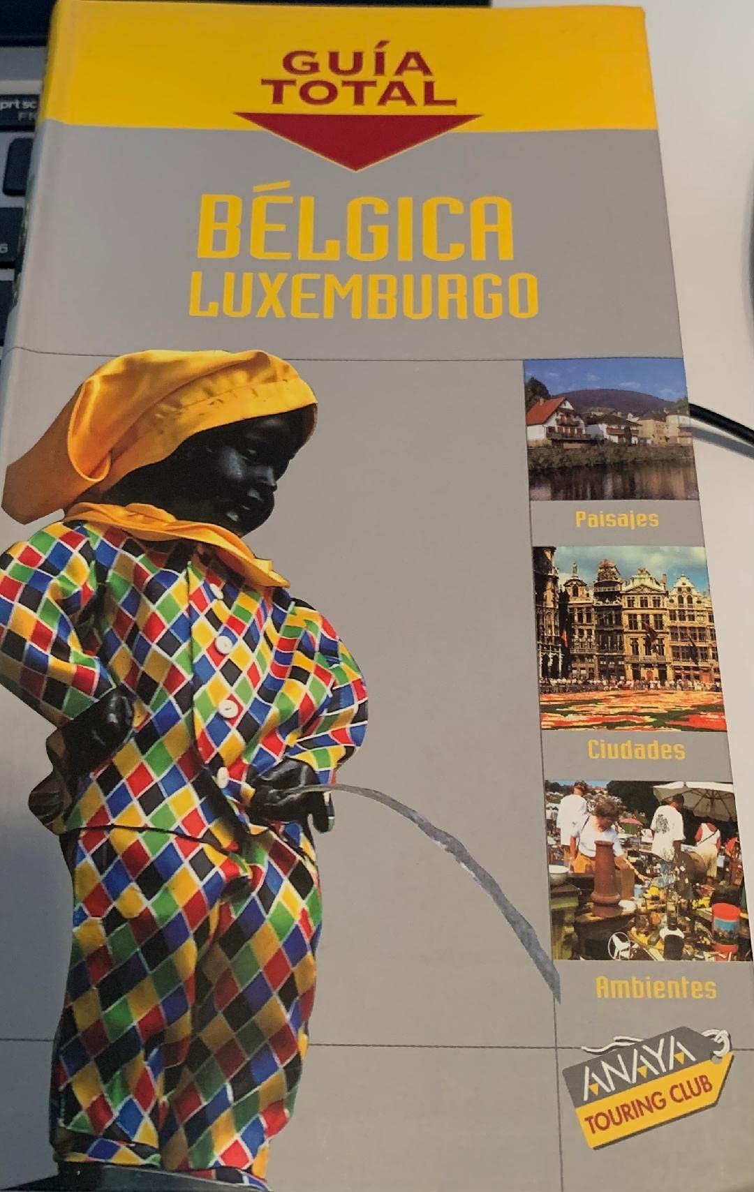 Bélgica y Luxemburgo (Guía Total - Internacional) Travel