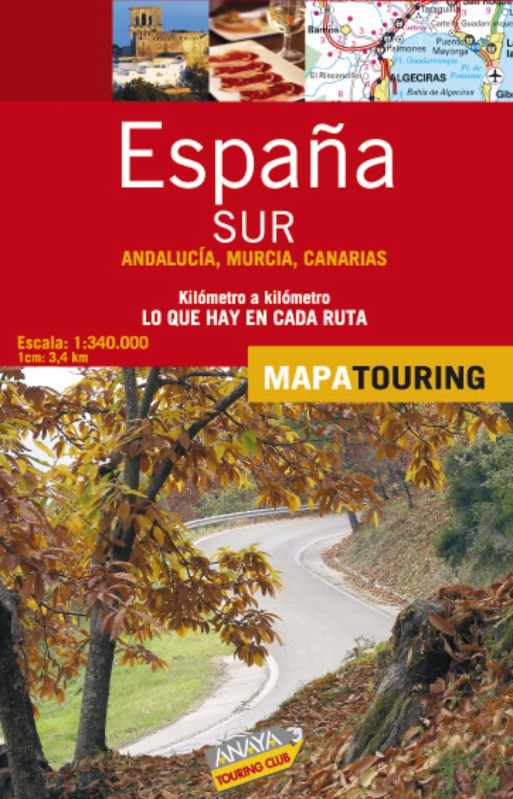 Espana Sur/ Southern Spain: Andalucia, Murcia, Canarias/ Andalusia, Murcia, Canary book