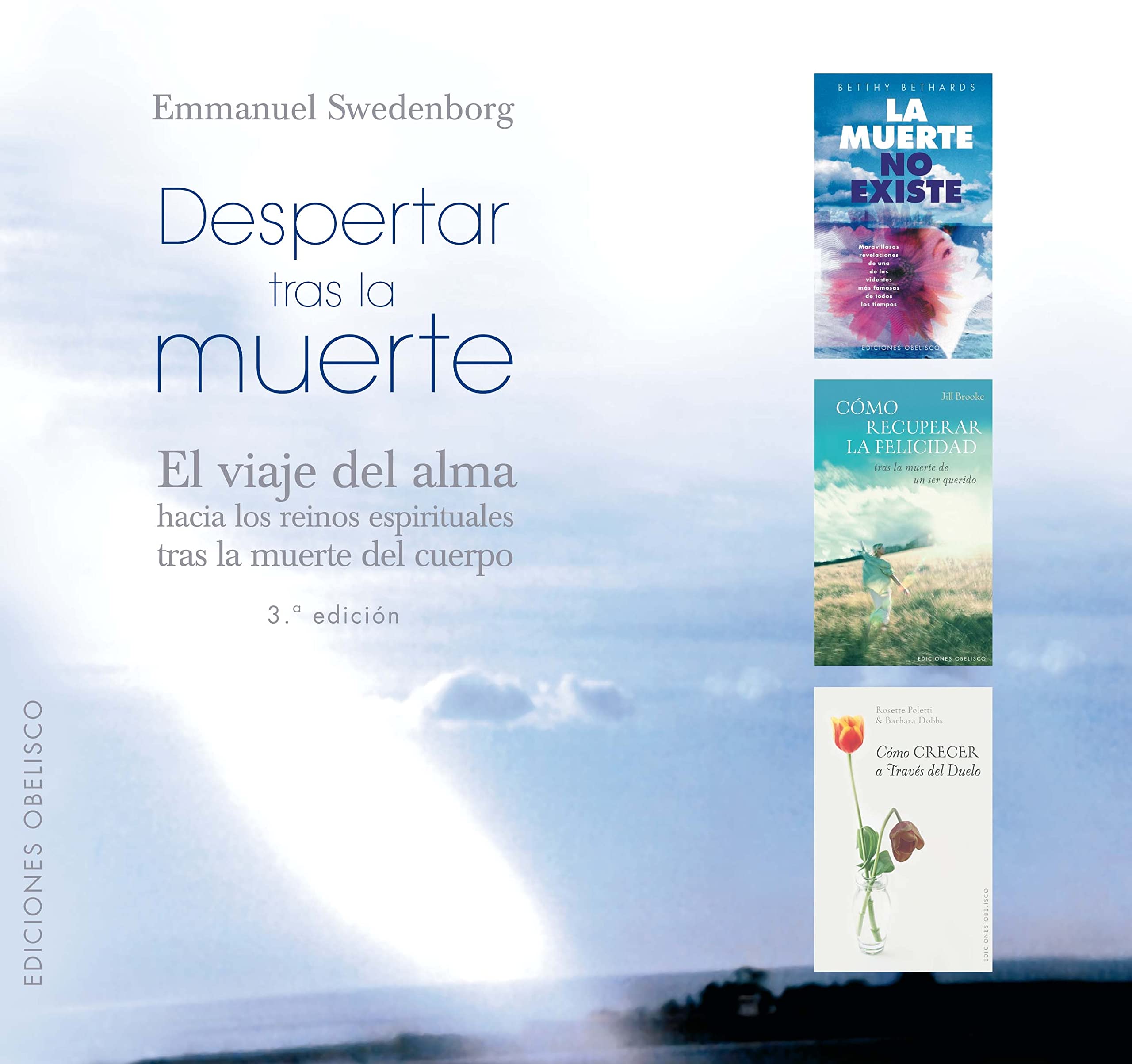 Despertar Tras La Muerte/ Awaken from Death book