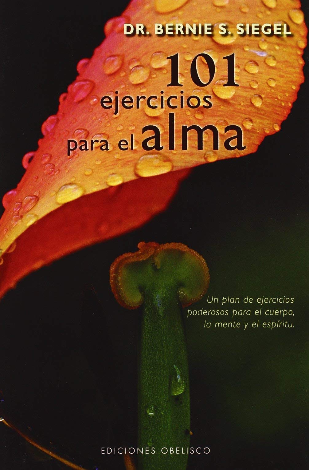 101 ejercicios para el alma : un plan de ejercicios poderosos para el cuerpo, la mente y el espíritu Leisure, Home & Garden