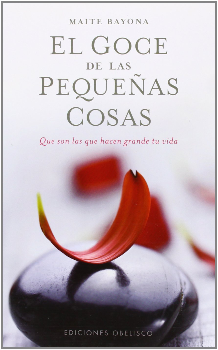 El goce de las pequenas cosas / The Joy of Little Things book