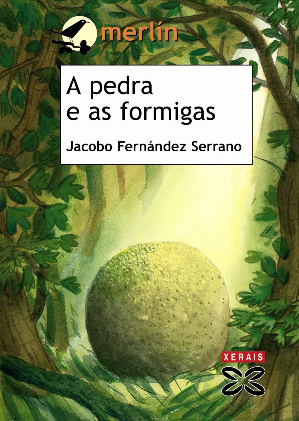 A Pedra E As Formigas/ the Stone and the Ants book