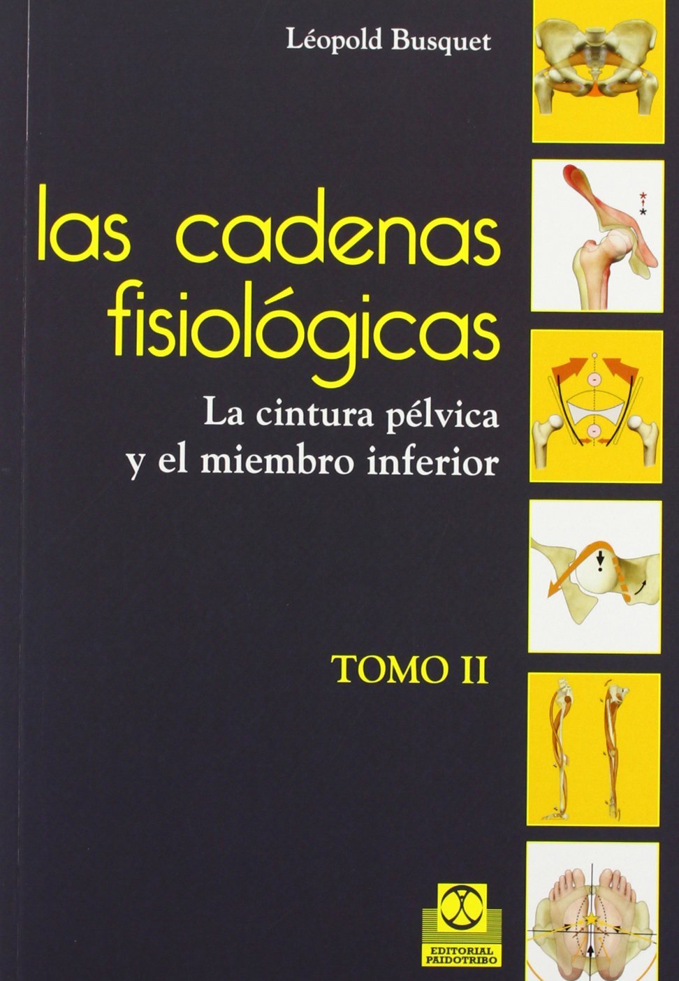 Estructuras de la comunicación y la cultura: Políticas para la era digital (Multimedia, Band 35) Social Sciences