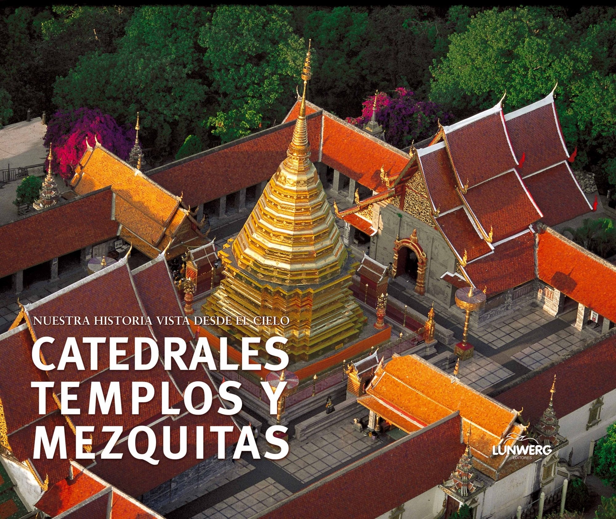Catedrales, templos y mezquitas. Nuestra historia vista desde el cielo (General, Band 1) Film, Art & Culture