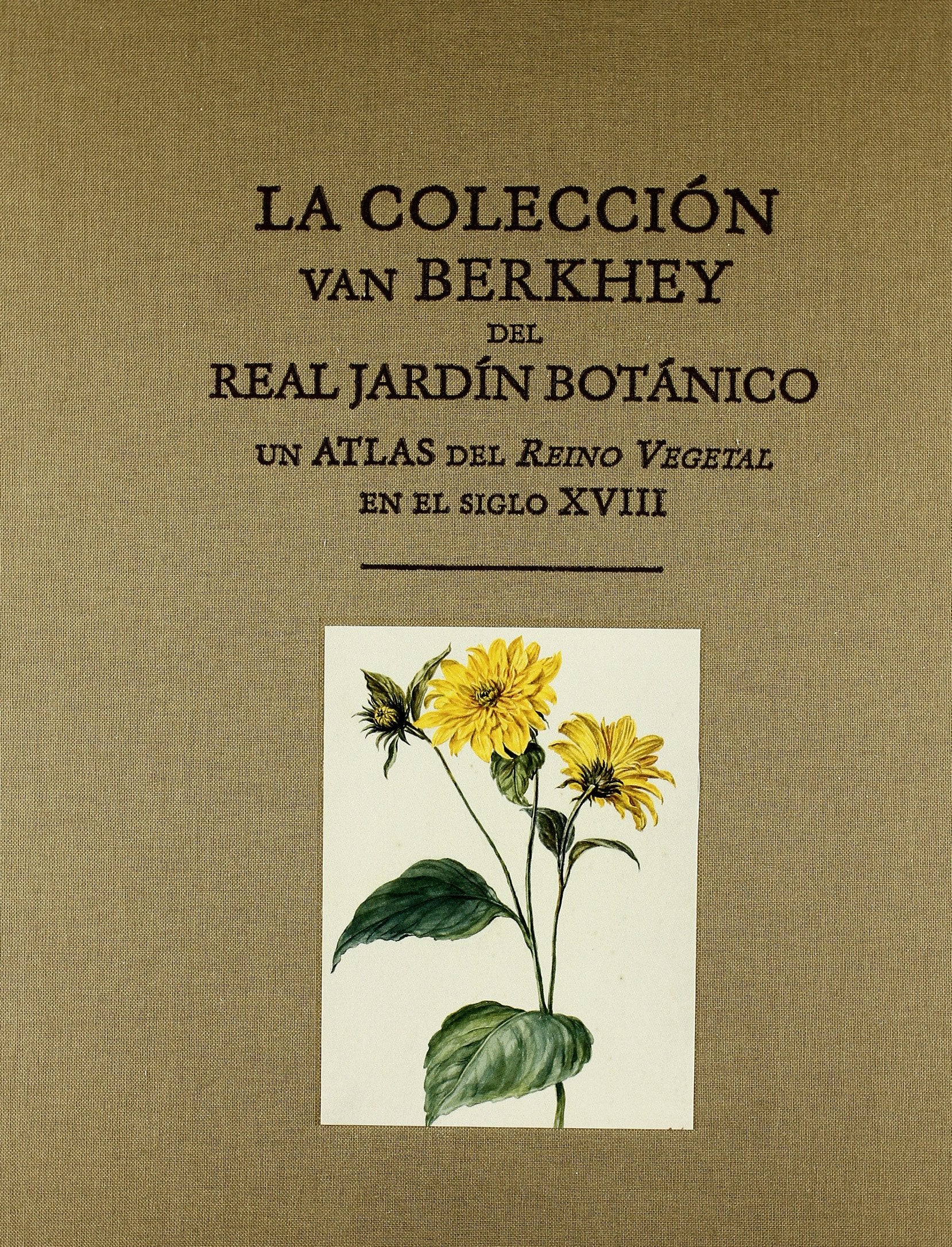 La colección Van Berkhey del Jardín Botánico. Un atlas del reino vegetal en el s: Un Atlas del Reino Vegetal En El Siglo XVIII (General, Band 1) Natural Sciences