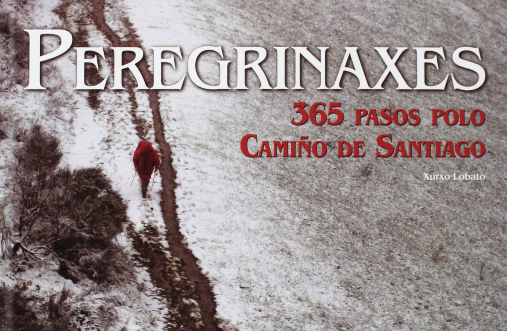 Perergrinaxes : 365 pasos polo Camiño de Santiago Social Sciences