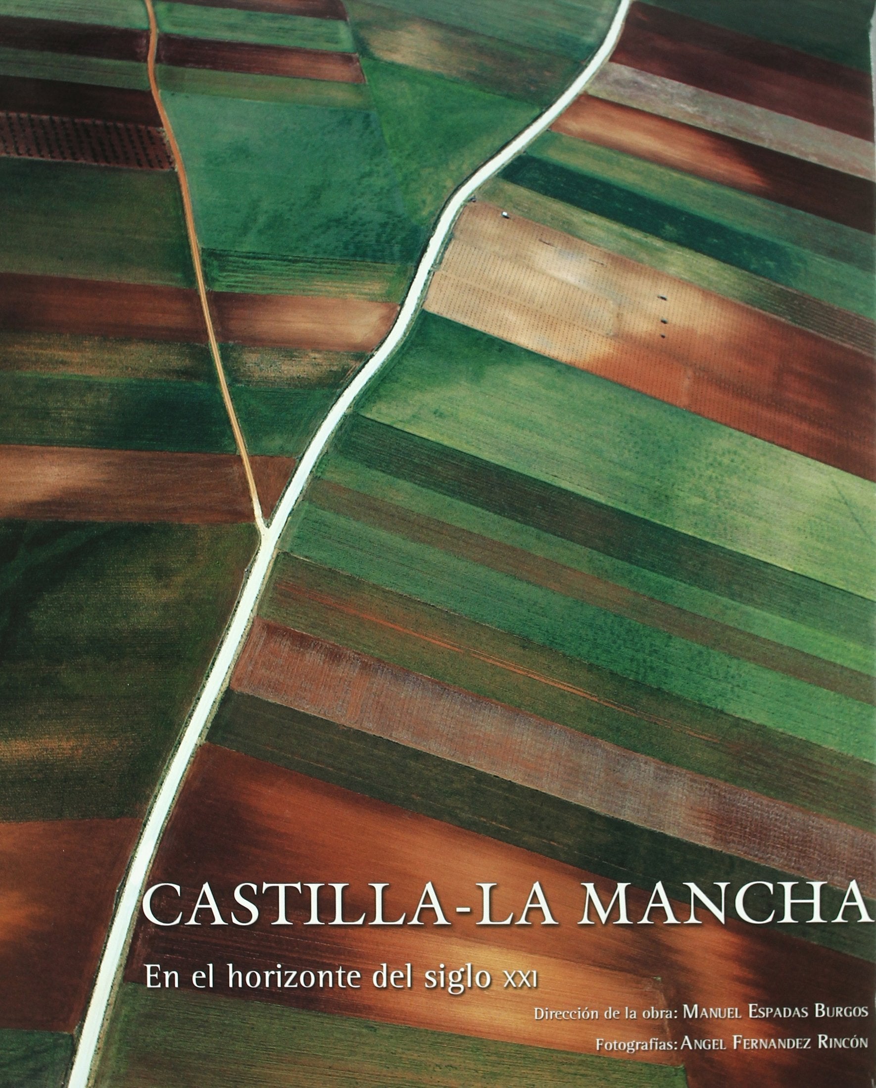 Castilla-La Mancha, en el horizonte del siglo XXI (General, Band 1) Geology & Geography