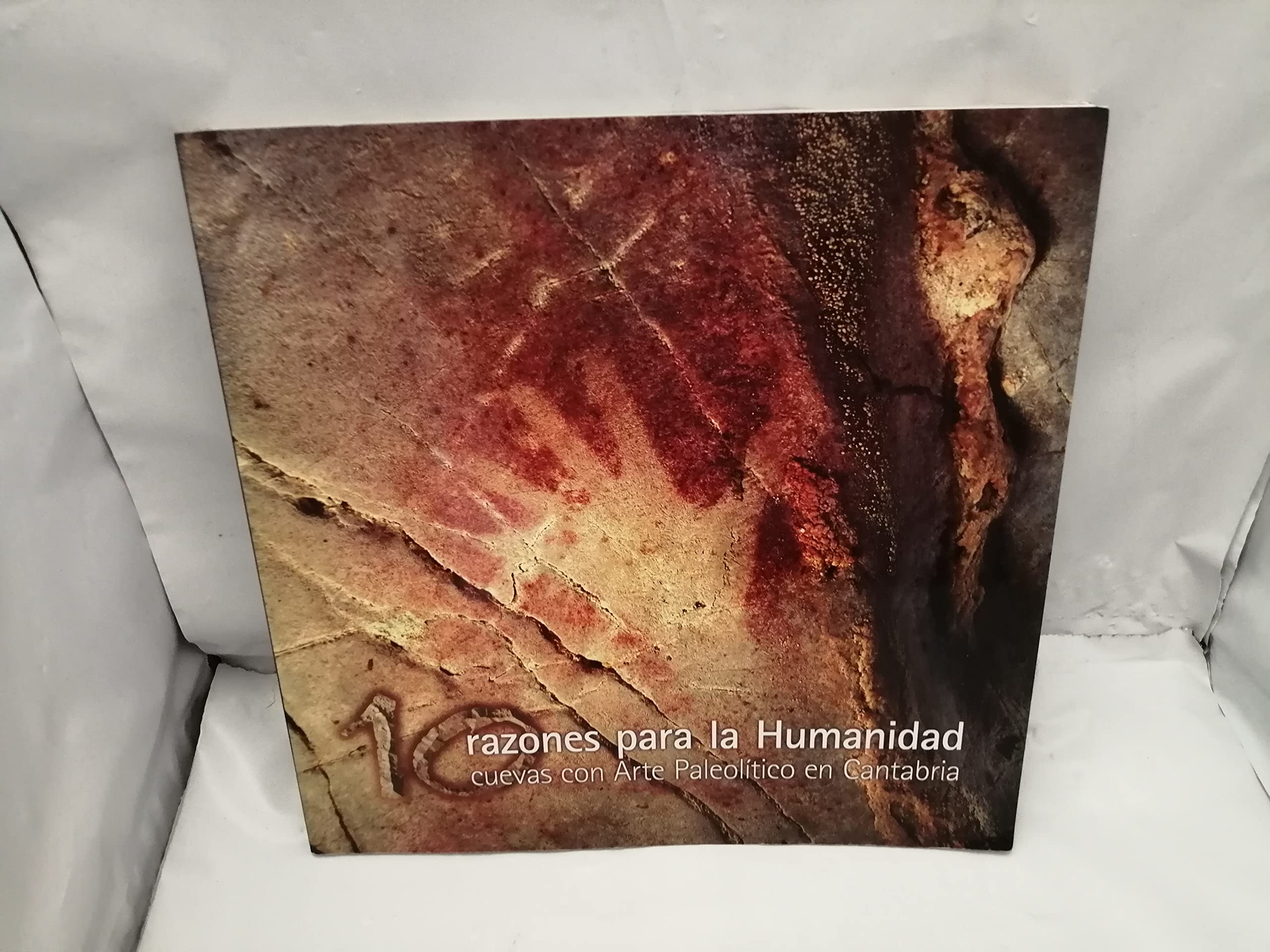 10 Razones para la humanidad. Cuevas de arte paleolítico en Cantabria book