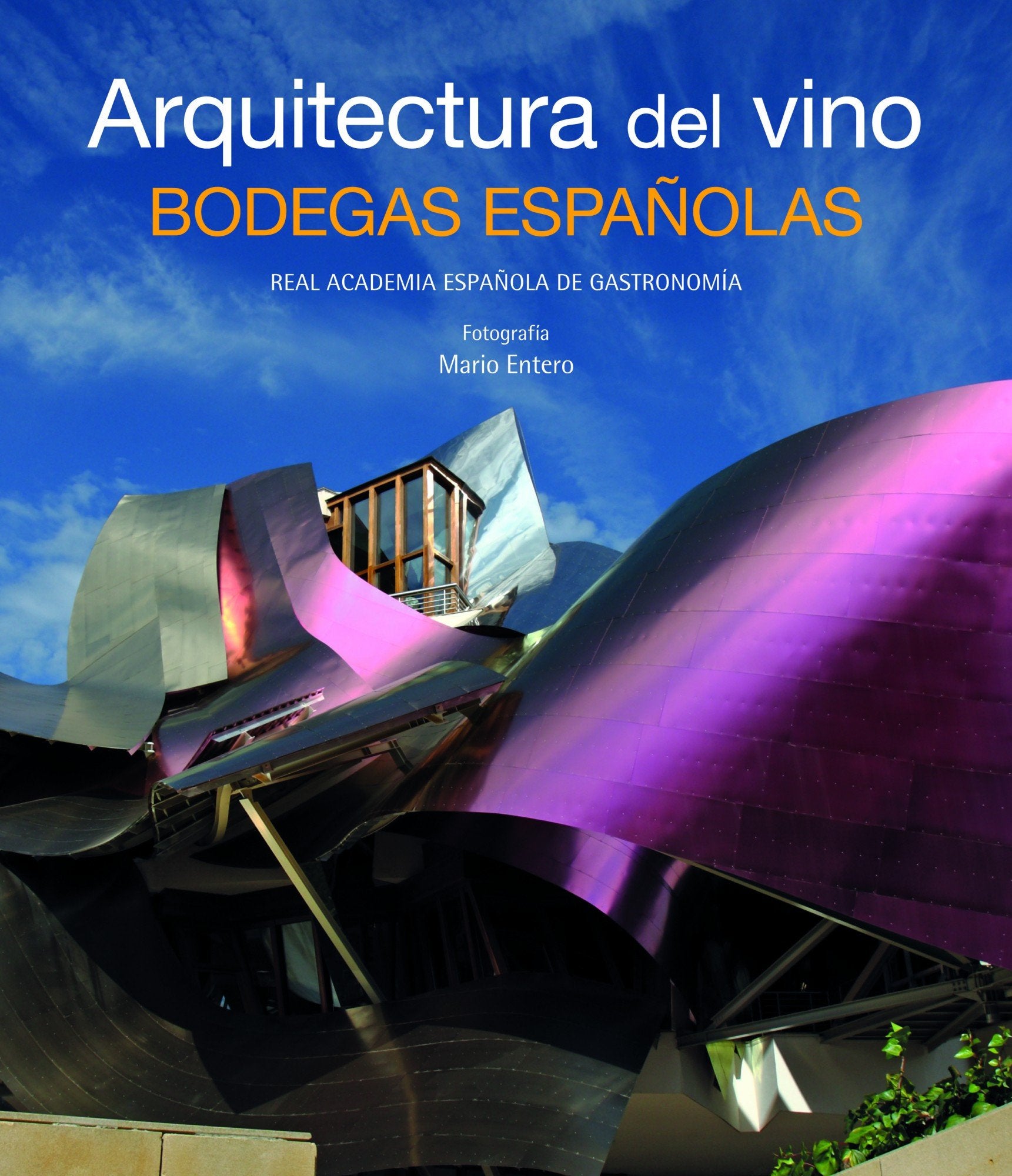 Bodegas españolas : arquitectura del vino (General, Band 1) Geology & Geography