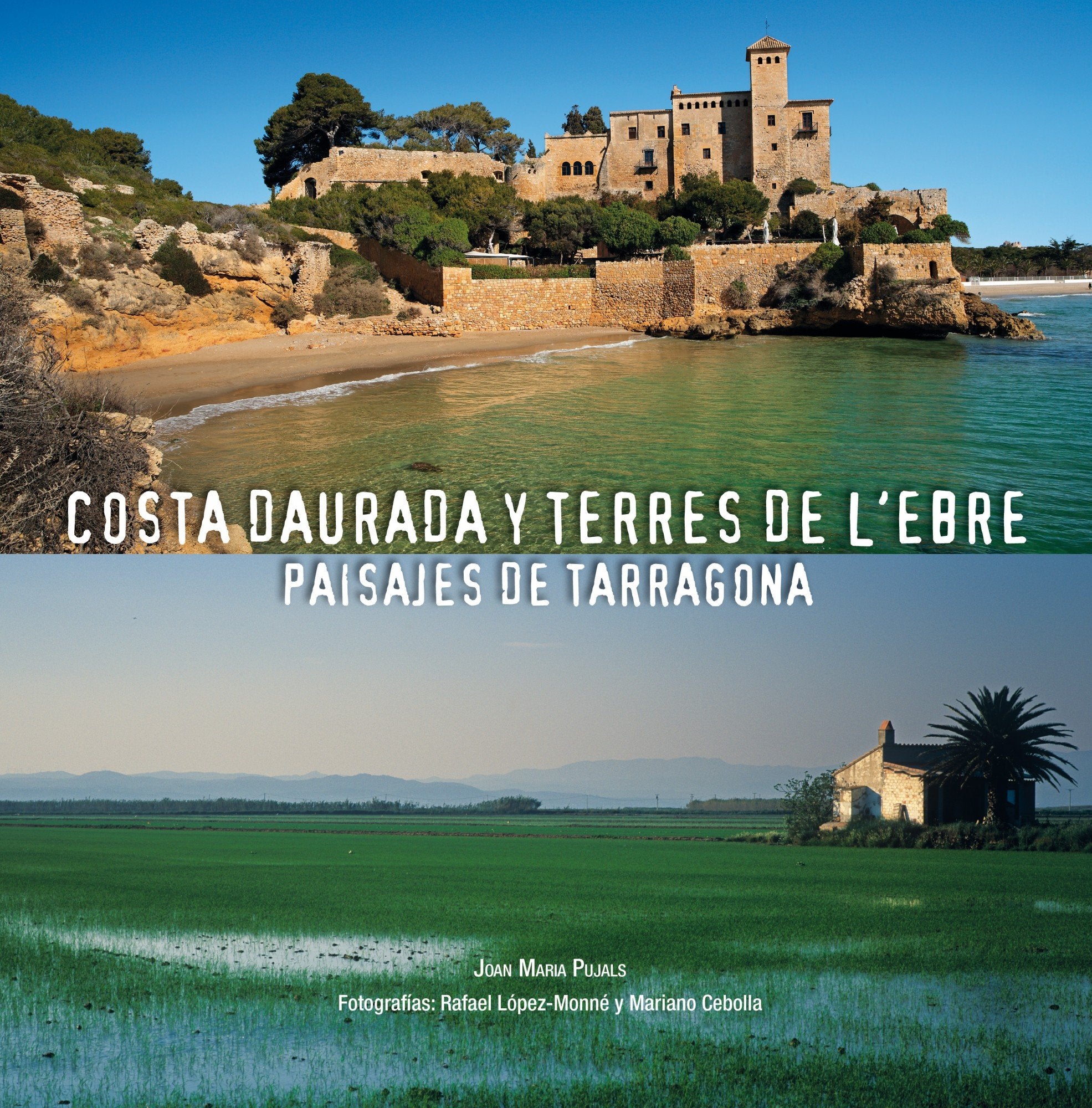 Costa Dorada y tierras del Ebro : paisajes de Tarragona book