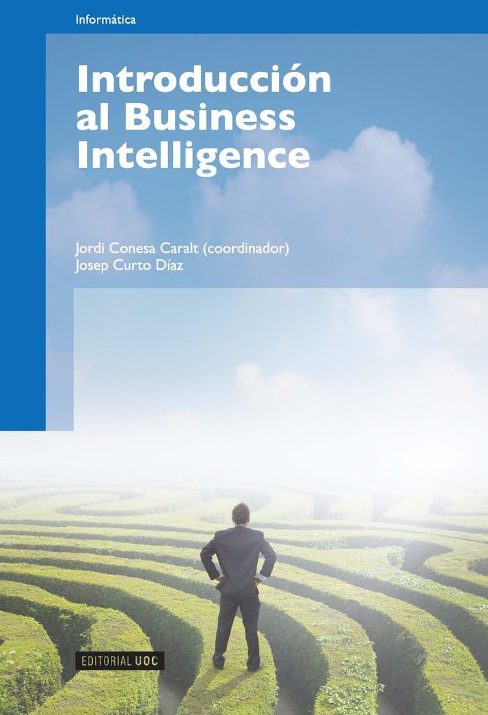 Introducción al Business Intelligence (Manuales, Band 163) Media & Communication