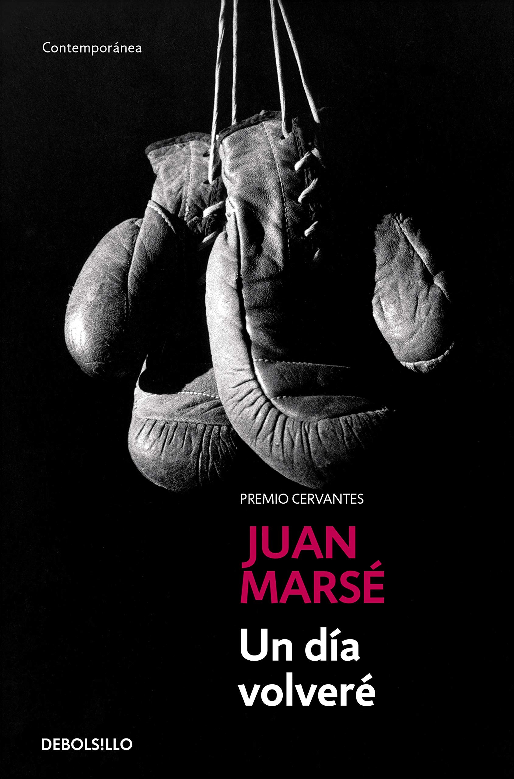 Un día volveré (Contemporánea) Contemporary literature