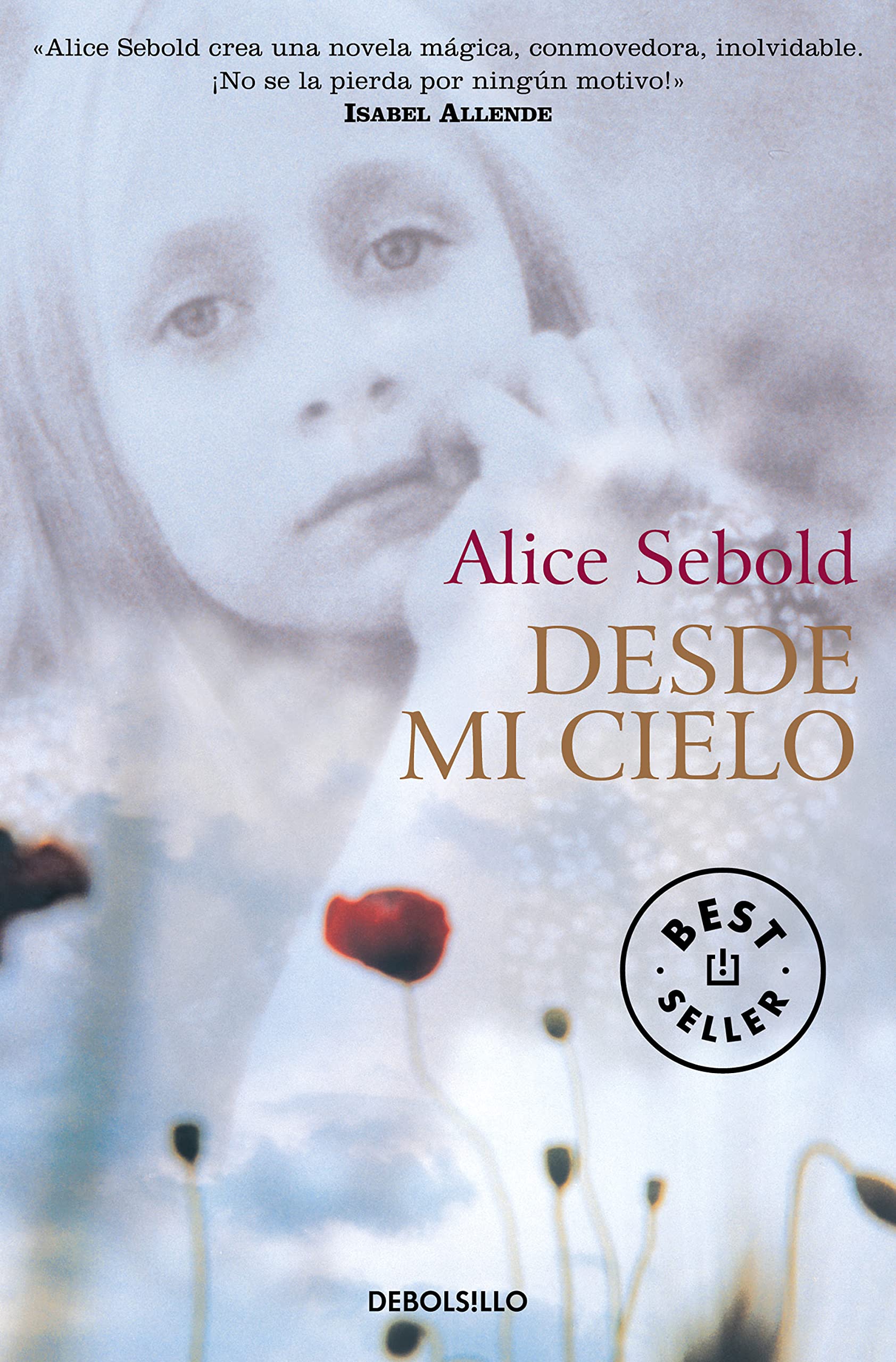 Desde mi cielo Contemporary literature Books