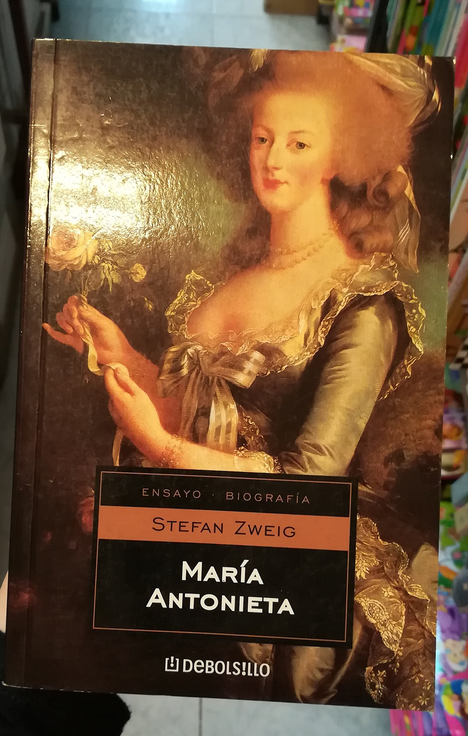 Maria Antonieta / Marie Antoinette (Ensayo-biografico / Essay-biography, Band 100) Biographies & Memoirs