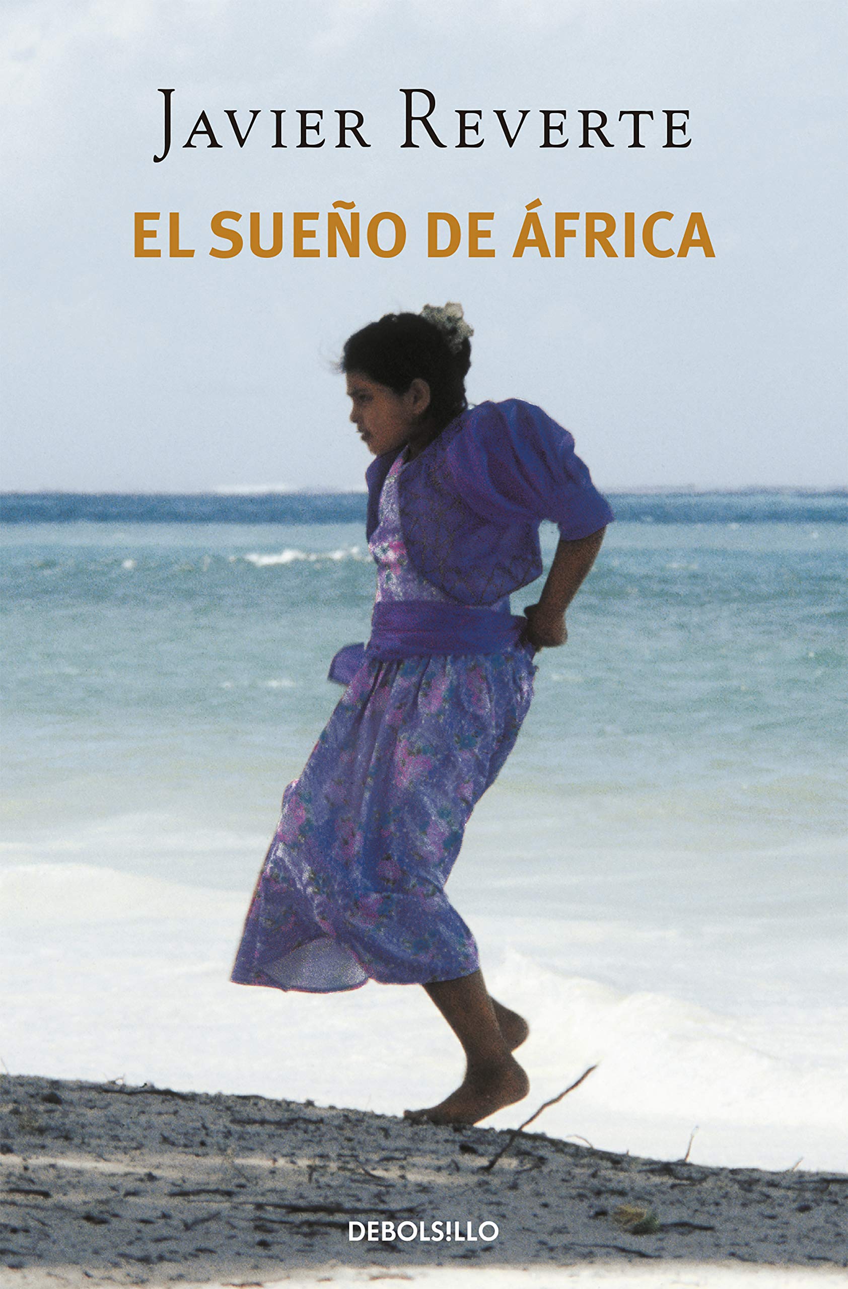 El sueño de África Politics & History