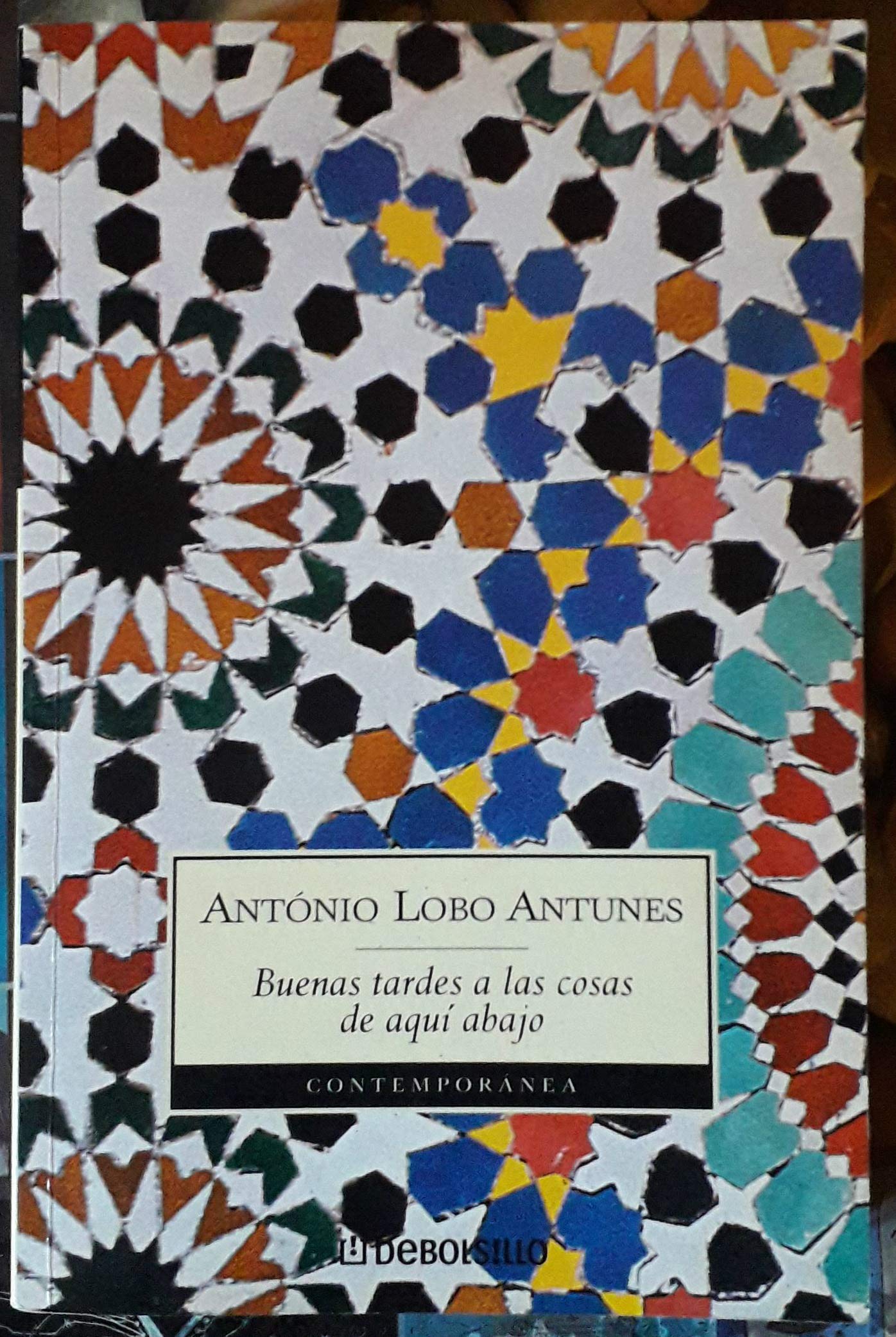 Buenas tardes a las cosas de aquí abajo (Contemporánea, Band 373) Contemporary literature Books