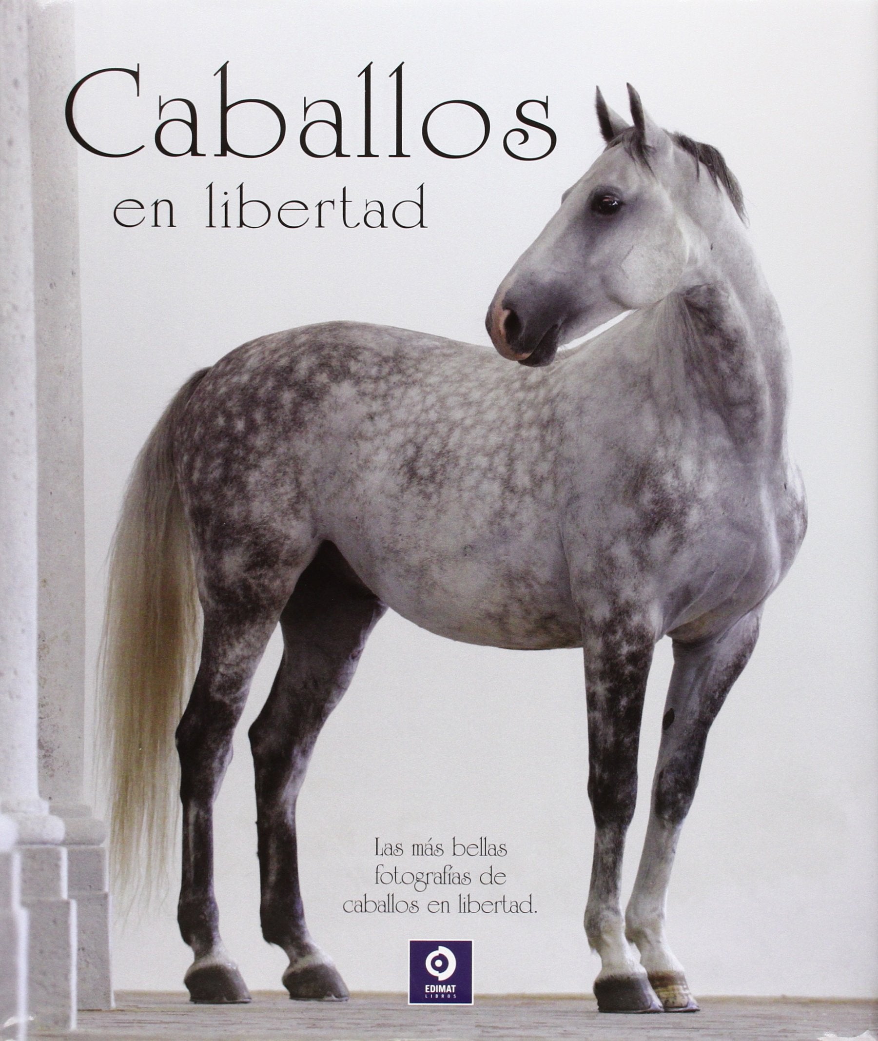 Caballos en libertad (EDIMAT LIBROS S.A., Band 1) Mathematics
