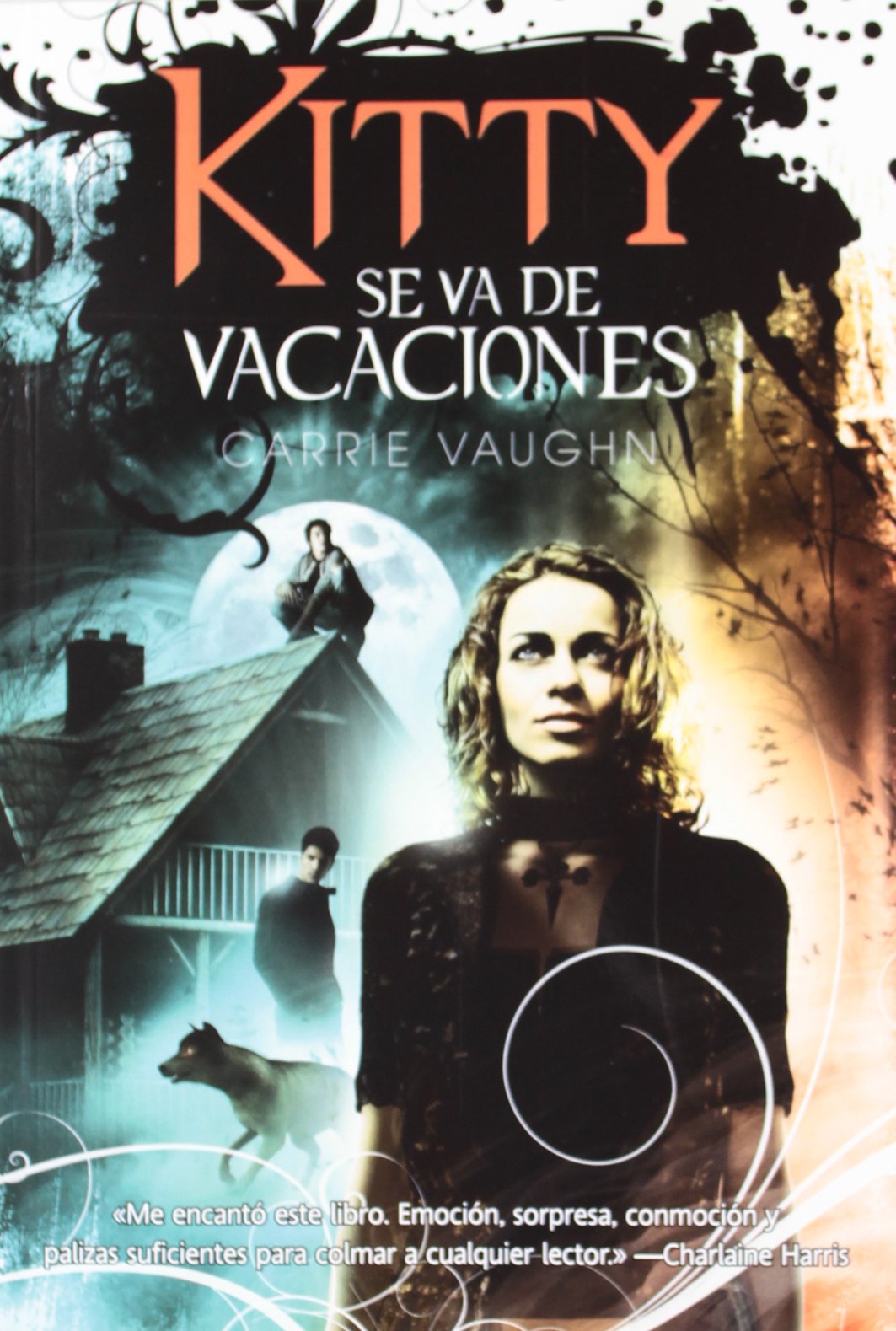 Kitty se va de vacaciones / Kitty takes a Holiday book