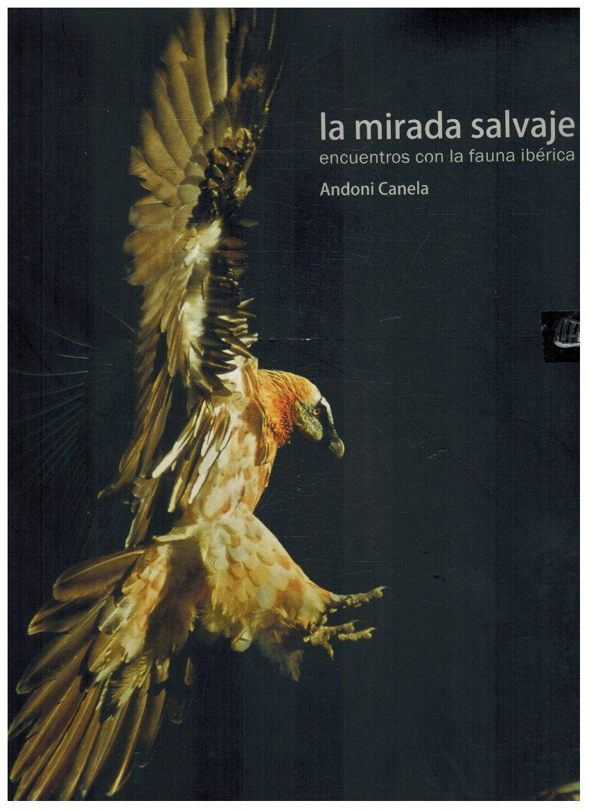 La mirada salvaje : encuentros con la fauna ibérica Leisure, Home & Garden