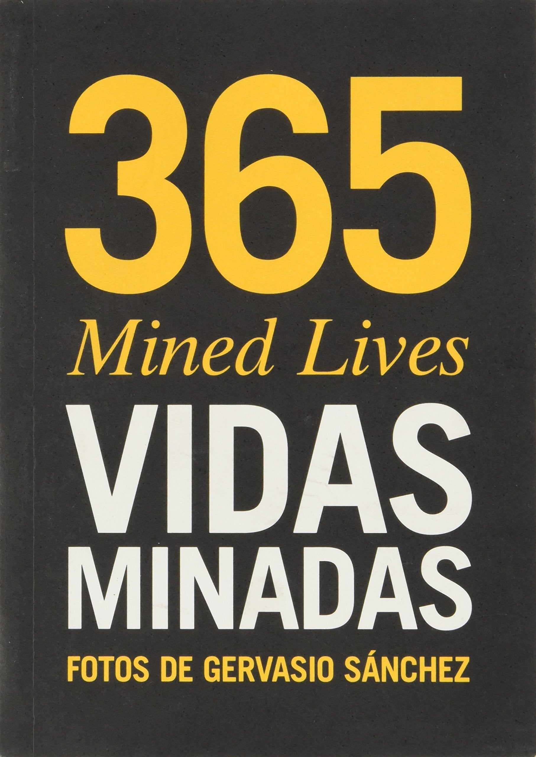 Vidas Minadas, Diez Anos =: Mined Lives, Ten Years (Spanish Edition) book
