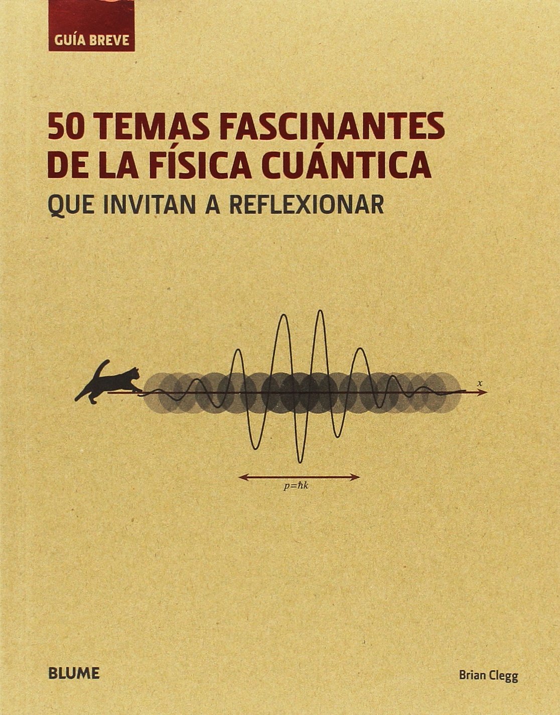Guía breve. 50 temas fascinantes de la física cuántica (rústica): que invitan a reflexionar Business & Technology