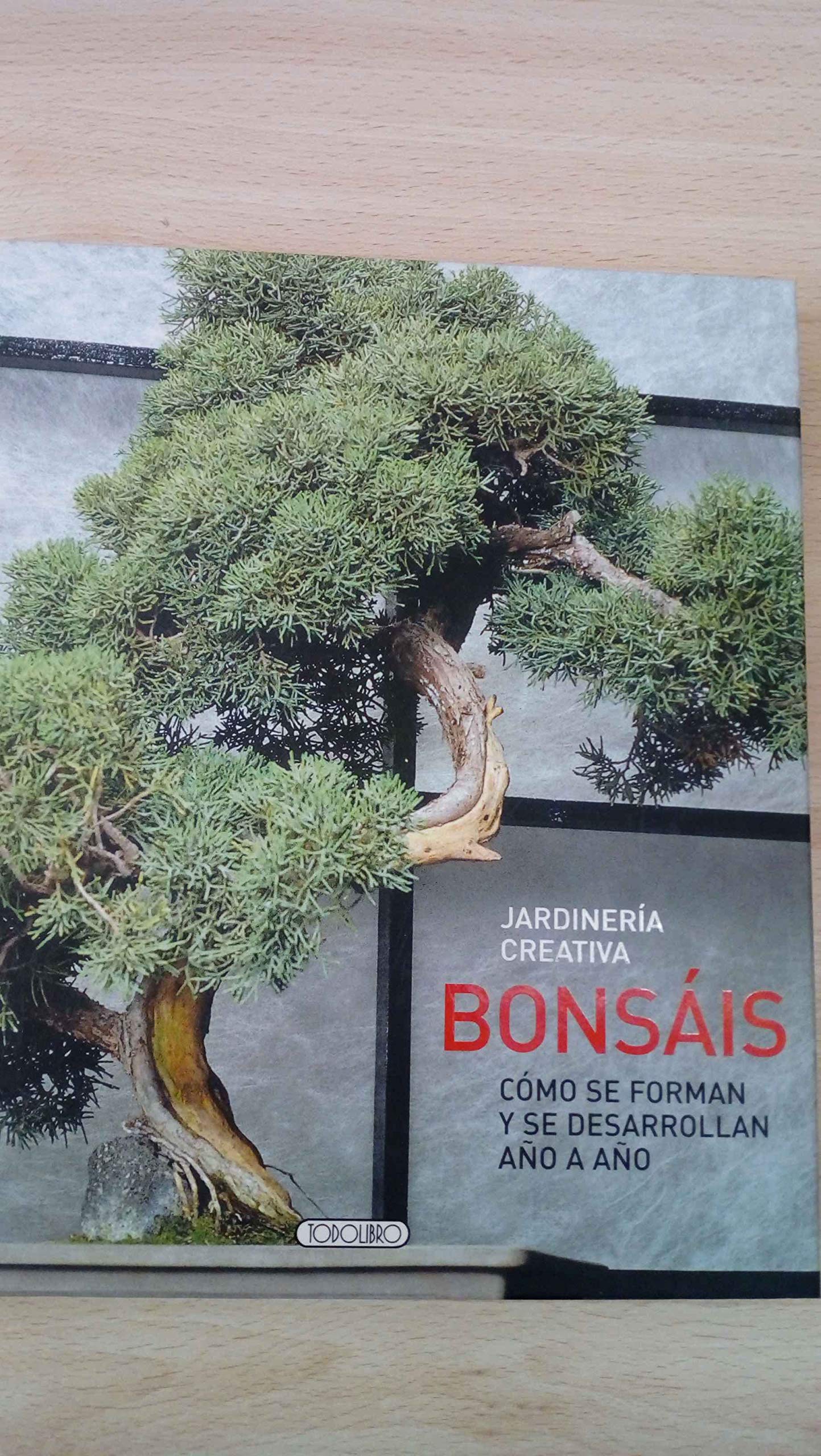 Bonsais: como se forman y se desarrollan año a año book