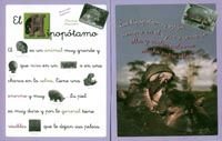 Animales con pictogramas Nº 1 Non-fiction