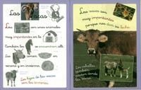 Animales con pictogramas Nº 6 book