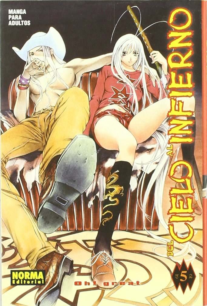 Del Cielo al Infierno 5/ From Heaven to Hell 5 book