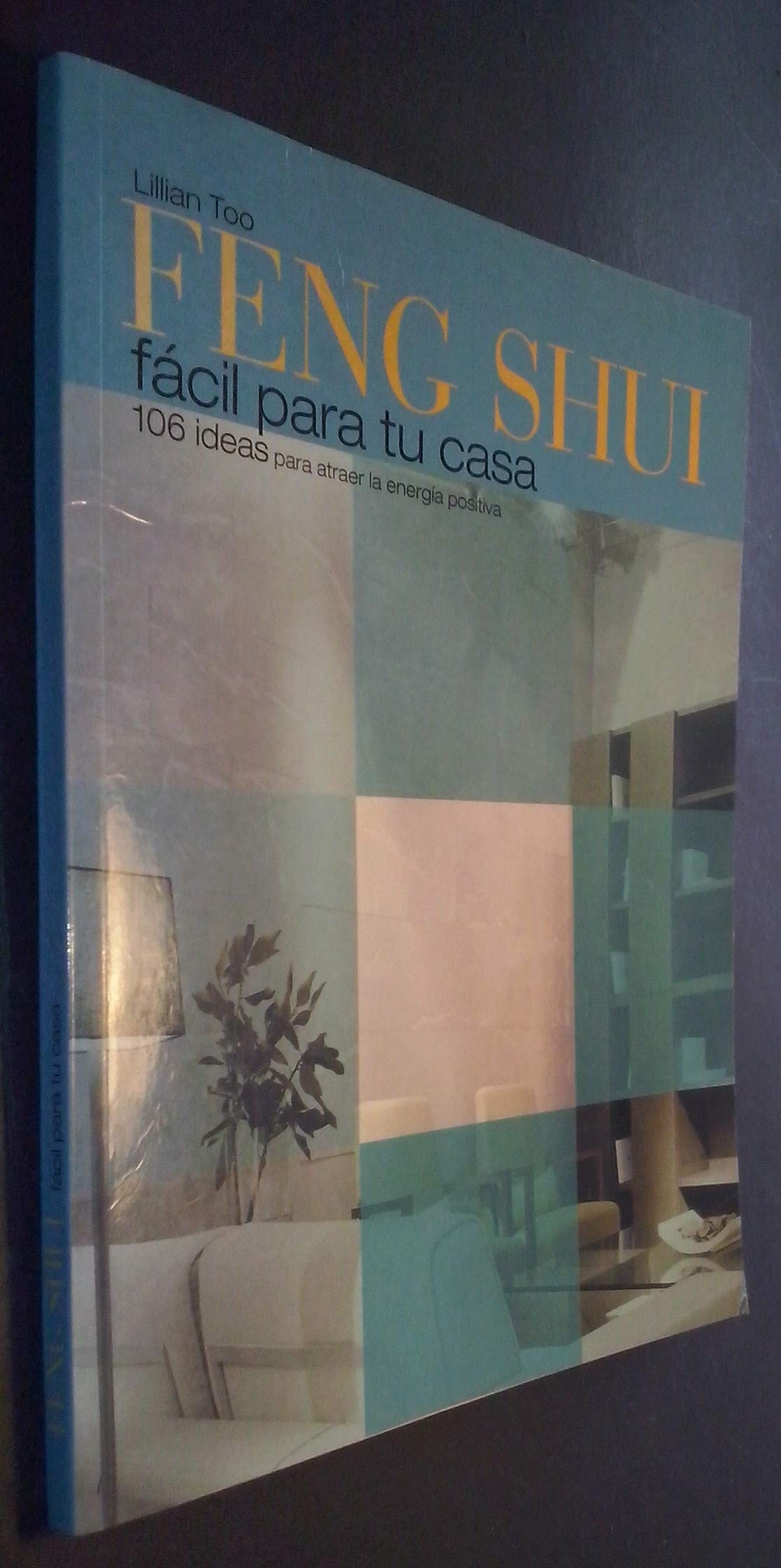 Feng Shui fácil para tu casa. 106 ideas para atraer la energía positiva book