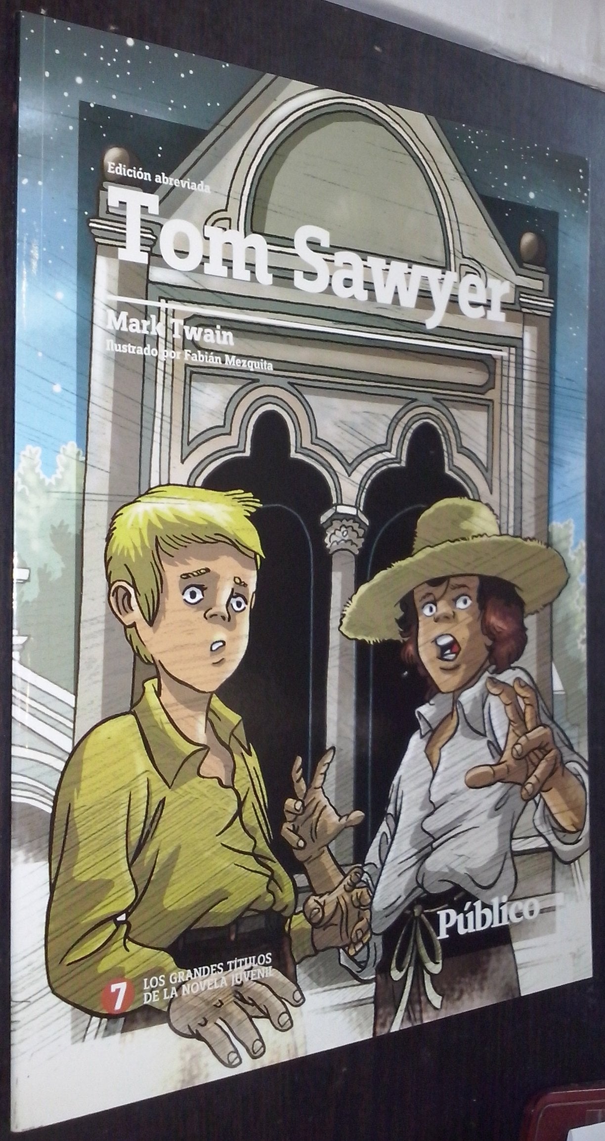 Tom Sawyer Edicion Abreviada (Grandes Titulos De La Novela) book
