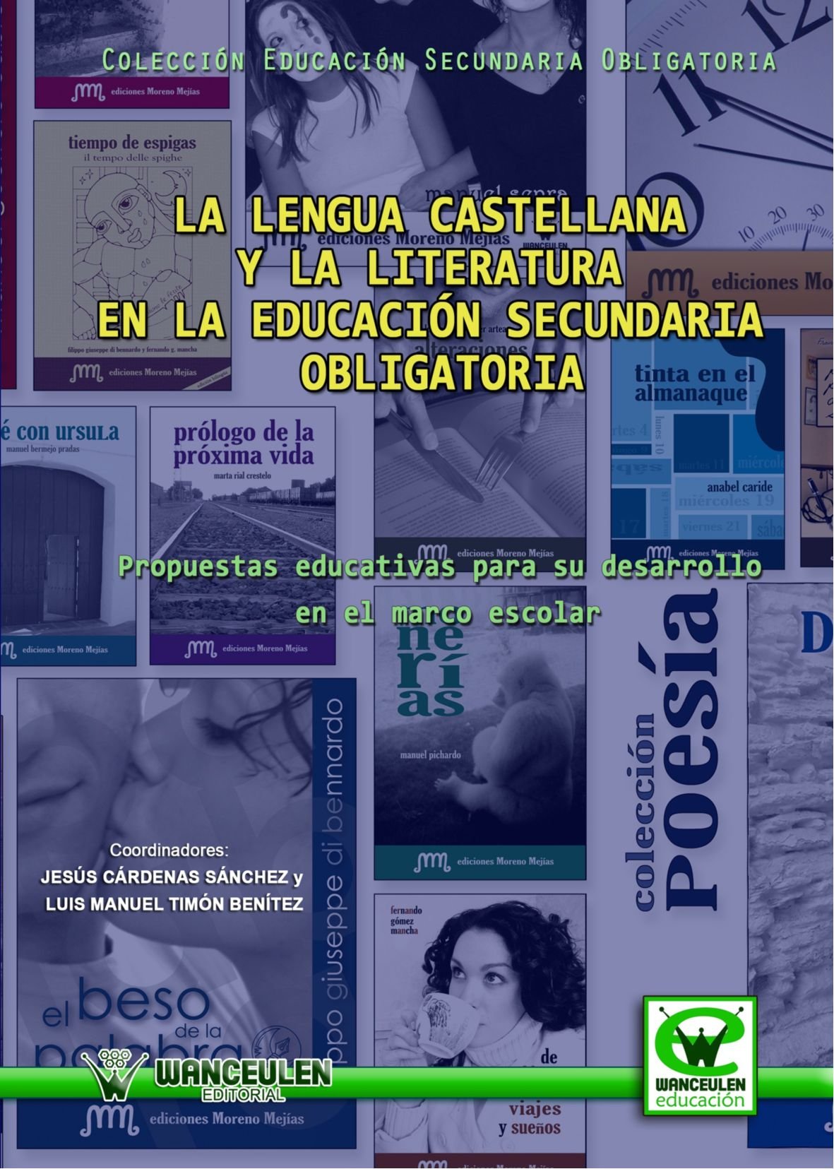 La Lengua Castellana Y La Literatura En La Educación Secundaria Obligatoria (Wanceulen educación) Learning & Reference