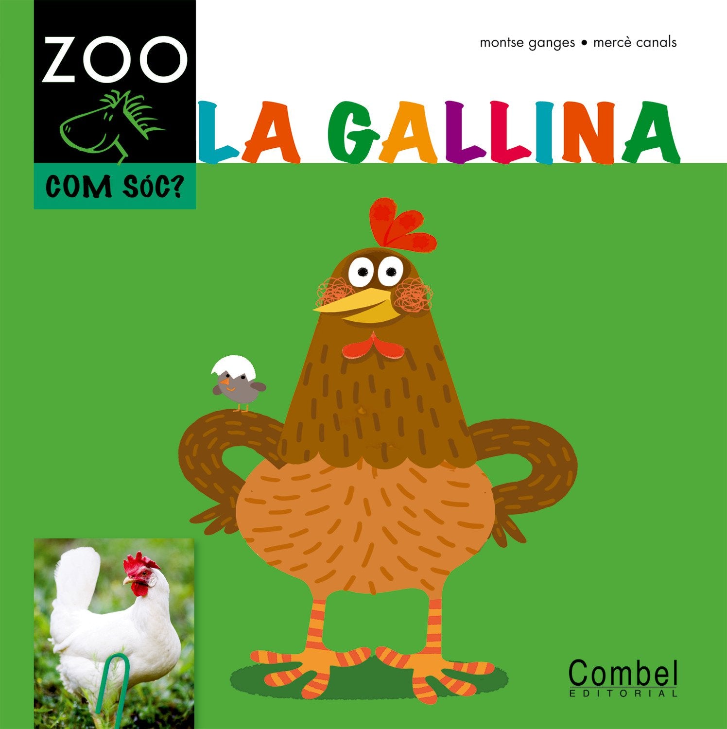 La gallina (Cavall ZOO. Com sóc?) Non-fiction