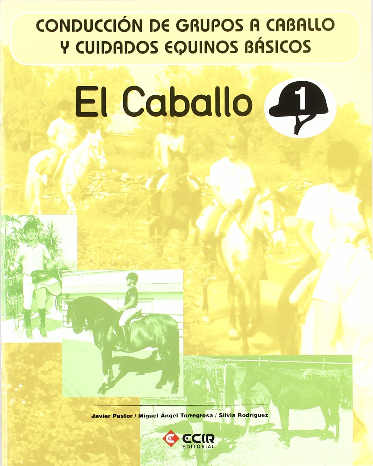 E:Equitación 1-el caballo: Conducción de grupos a caballo y cuidados equinos básicos. book