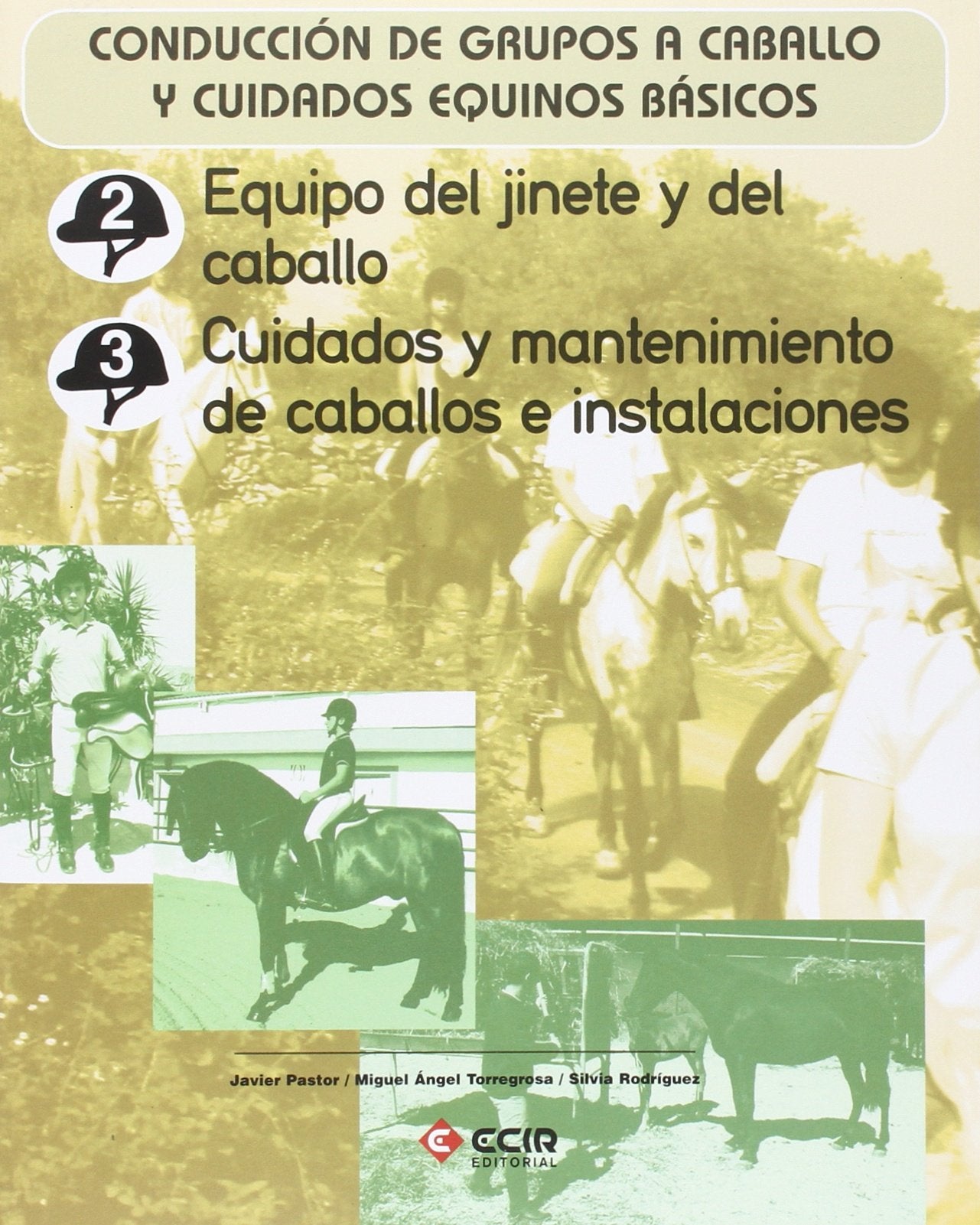 Equipo del jinete y del caballo. Cuidados y mantenimiento de caballos e instalaciones.: Conducción de grupos a caballo y cuidados equinos básicos. book