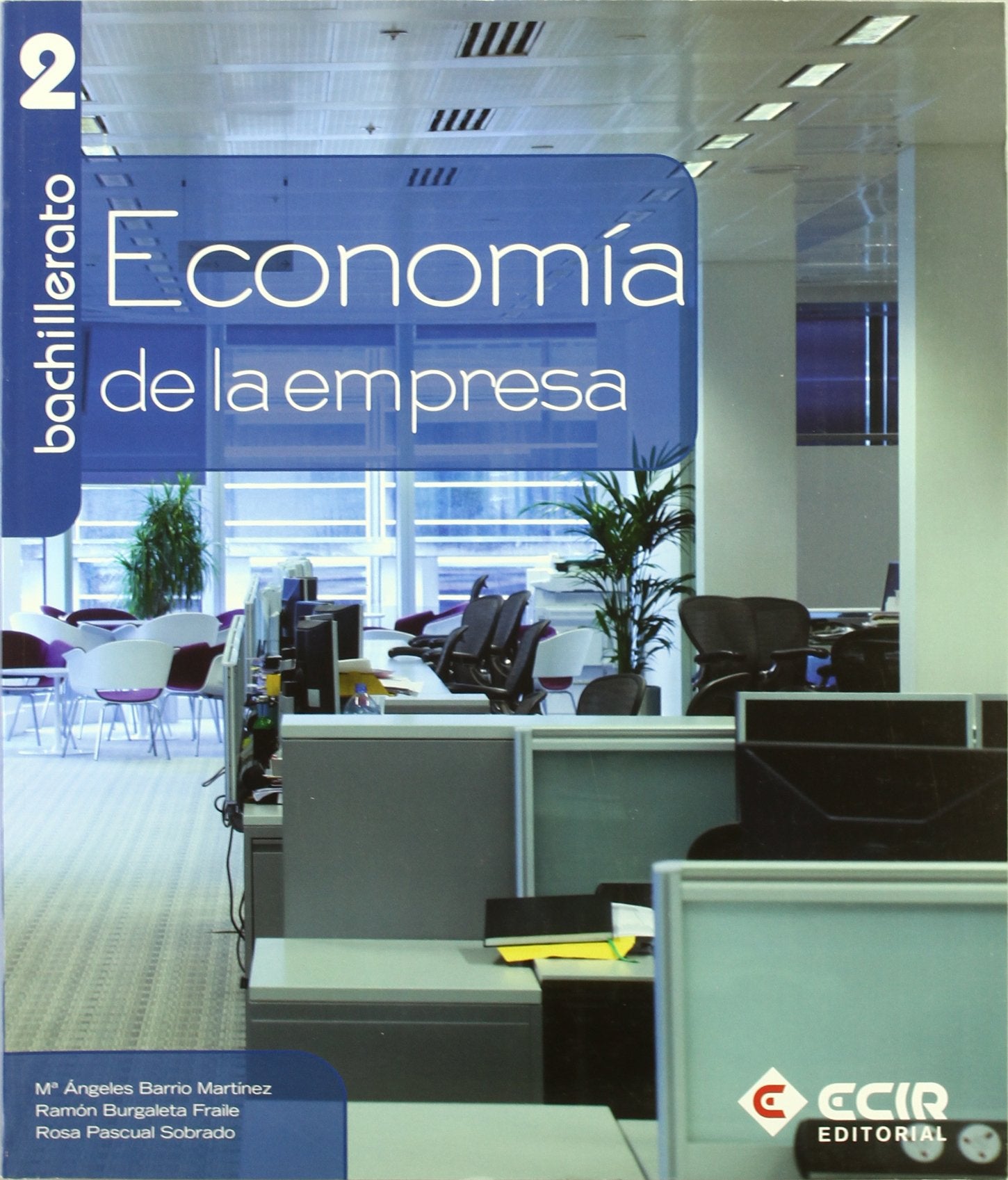 Economía y Organización de Empresas 2º Bachillerato / 2009 book