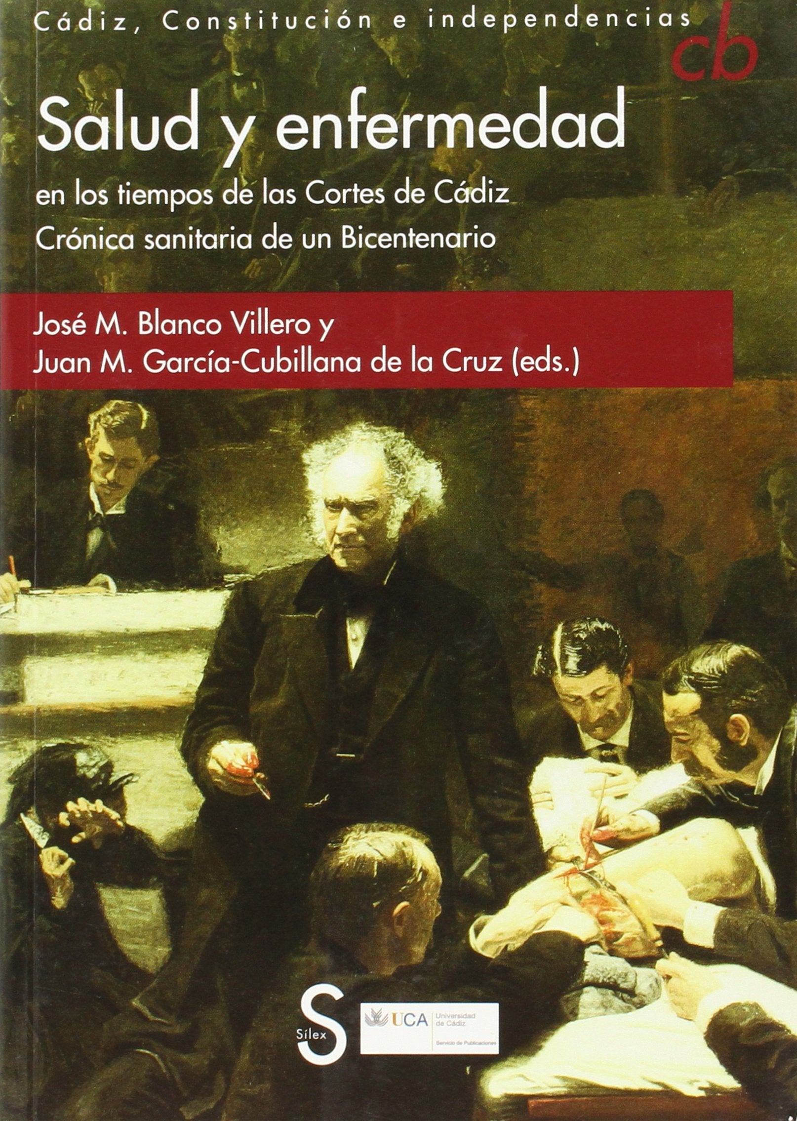 Salud y enfermedad en los tiempos de las Cortes de Cádiz.: Crónica sanitaria de un Bicentenario. book
