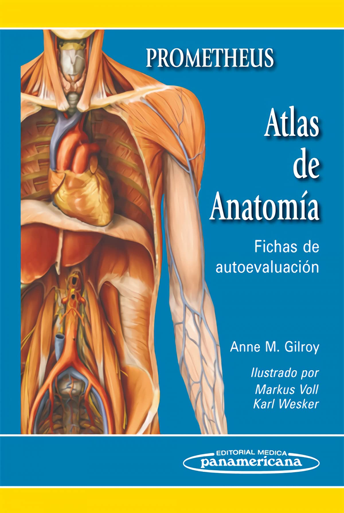 Atlas de anatomía : fichas de autoevaluación Medicine