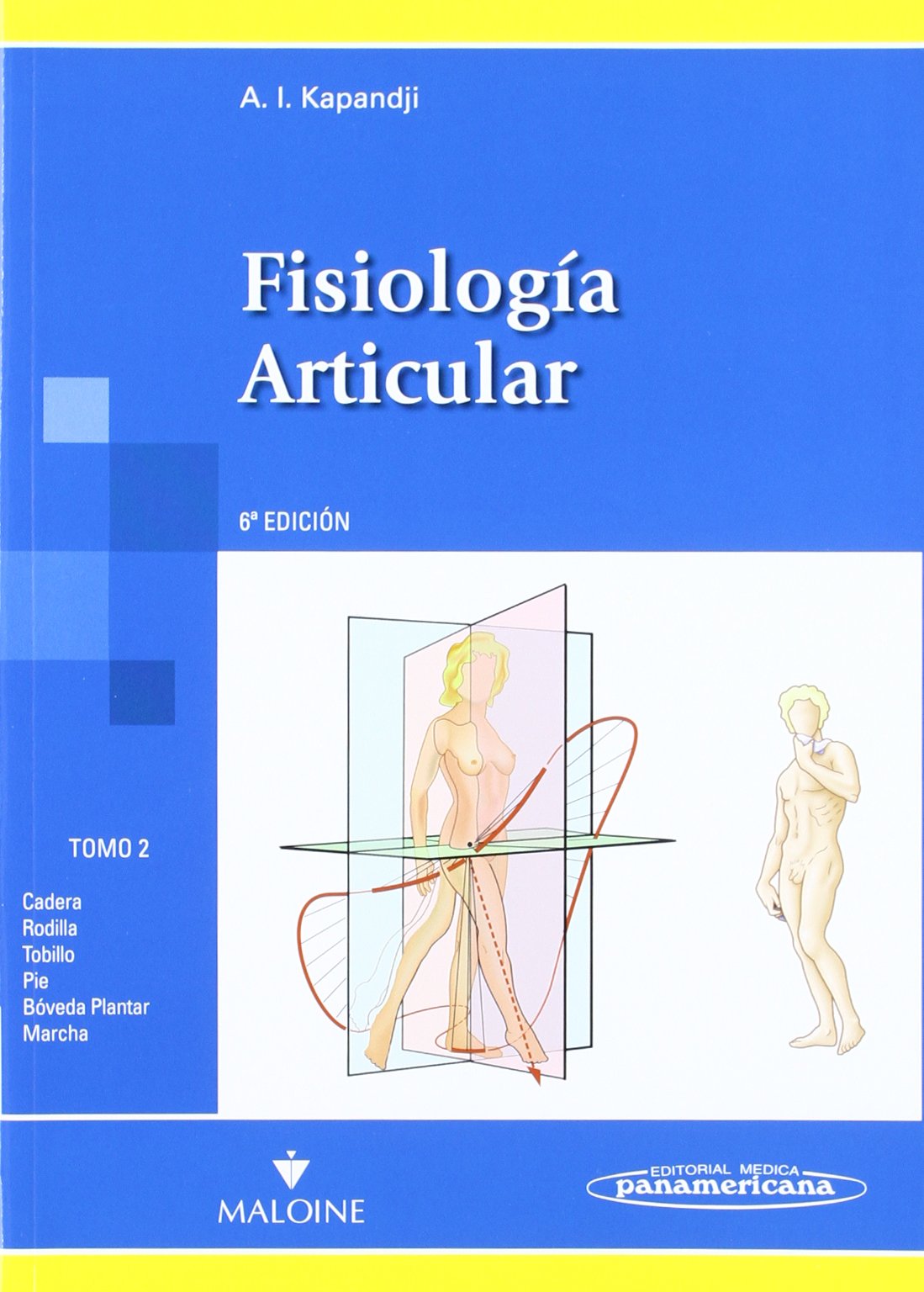 Cadera, rodilla, tobillo, pie, bóveda plantar, marcha (Fisiología Artucular) Medicine
