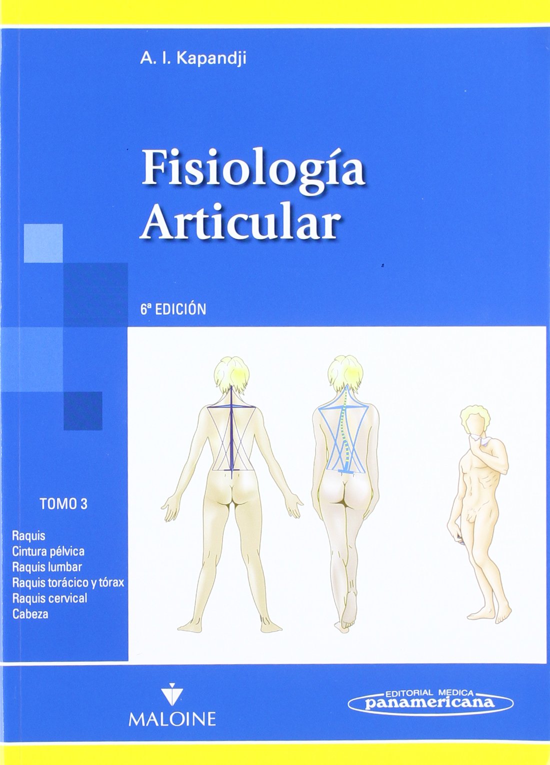 Raquis, cintura pélvica, raquis lumbar, raquis torácico y tírax, raquis cervical, cabeza (Fisiología Articular) Medicine