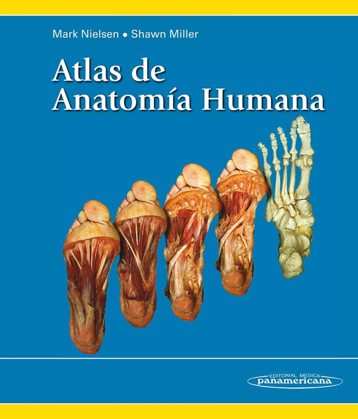 Atlas de anatomía humana / Atlas of Human Anatomy book