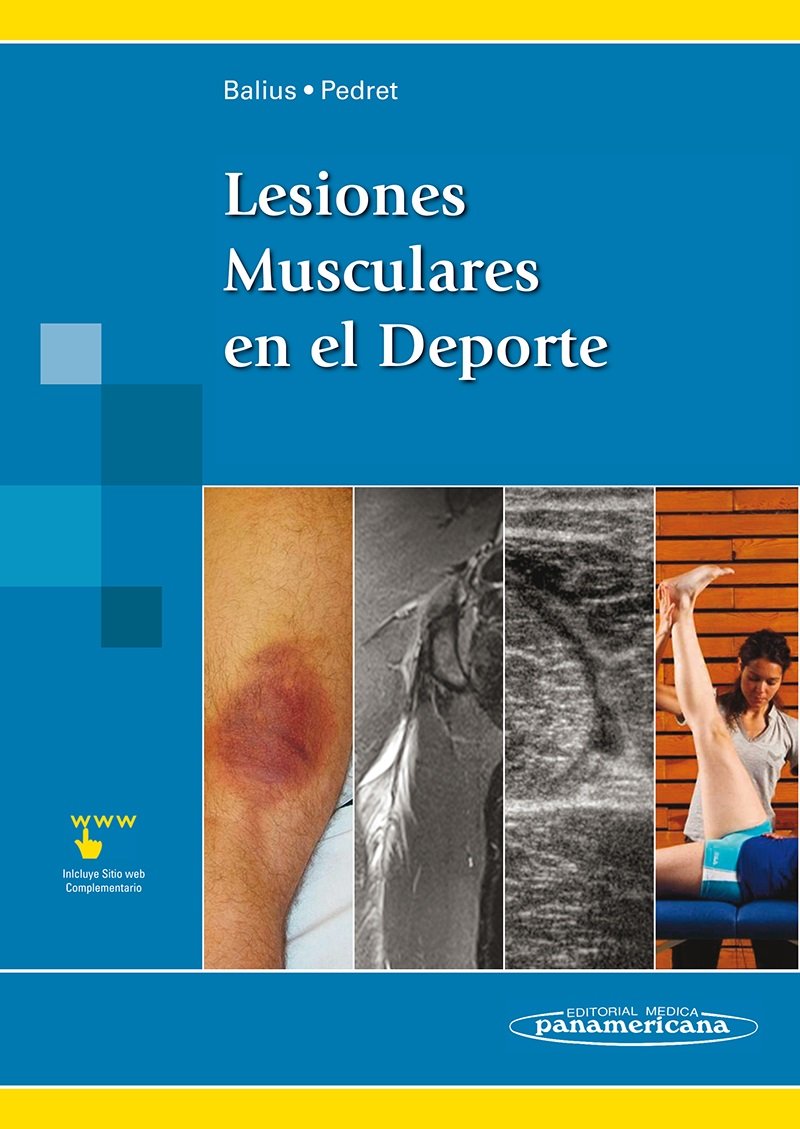 Lesiones Musculares en el Deporte / Muscle Injury in Sport book