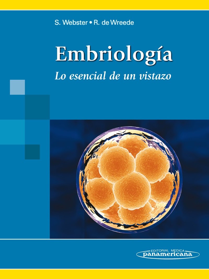 Embriología : lo esencial de un vistazo Medicine