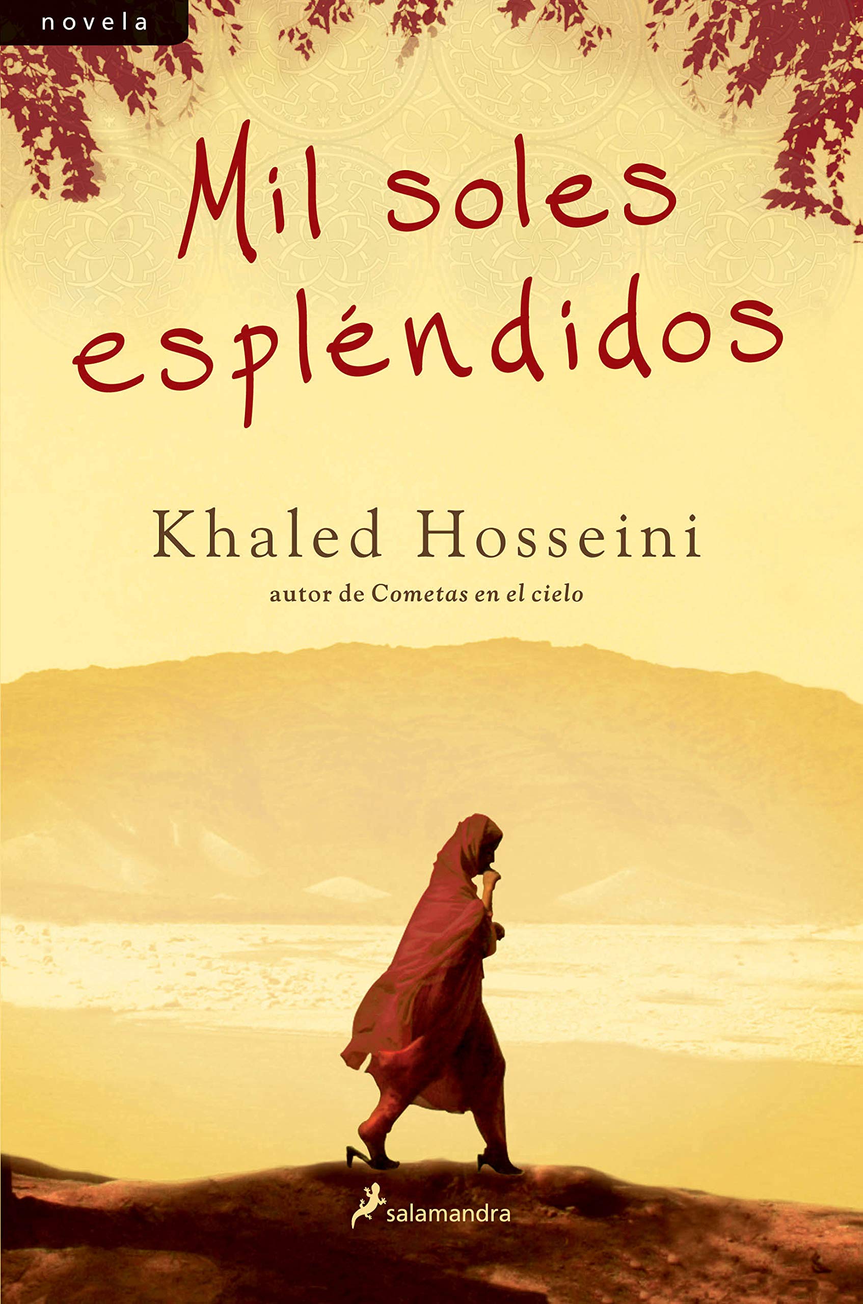 Mil soles espléndidos Contemporary literature Books