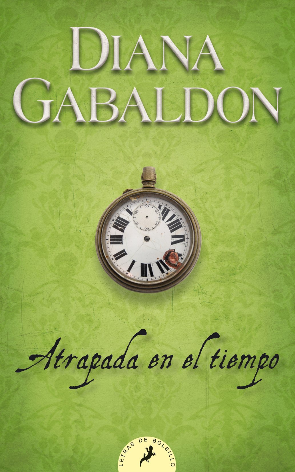 Atrapada en el tiempo/ Dragonfly In Amber book