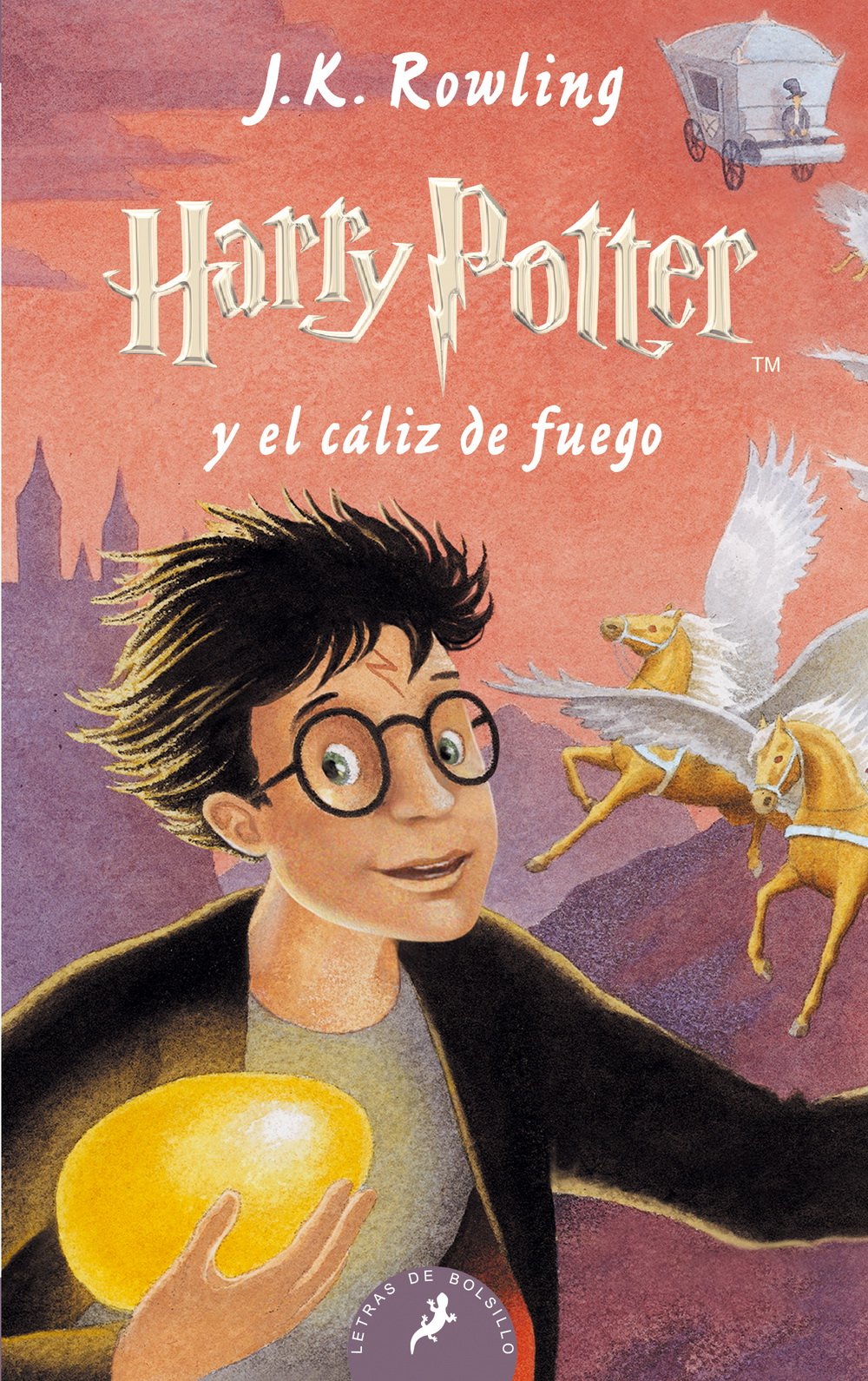 Harry Potter y el cáliz de fuego (Harry Potter 4) book