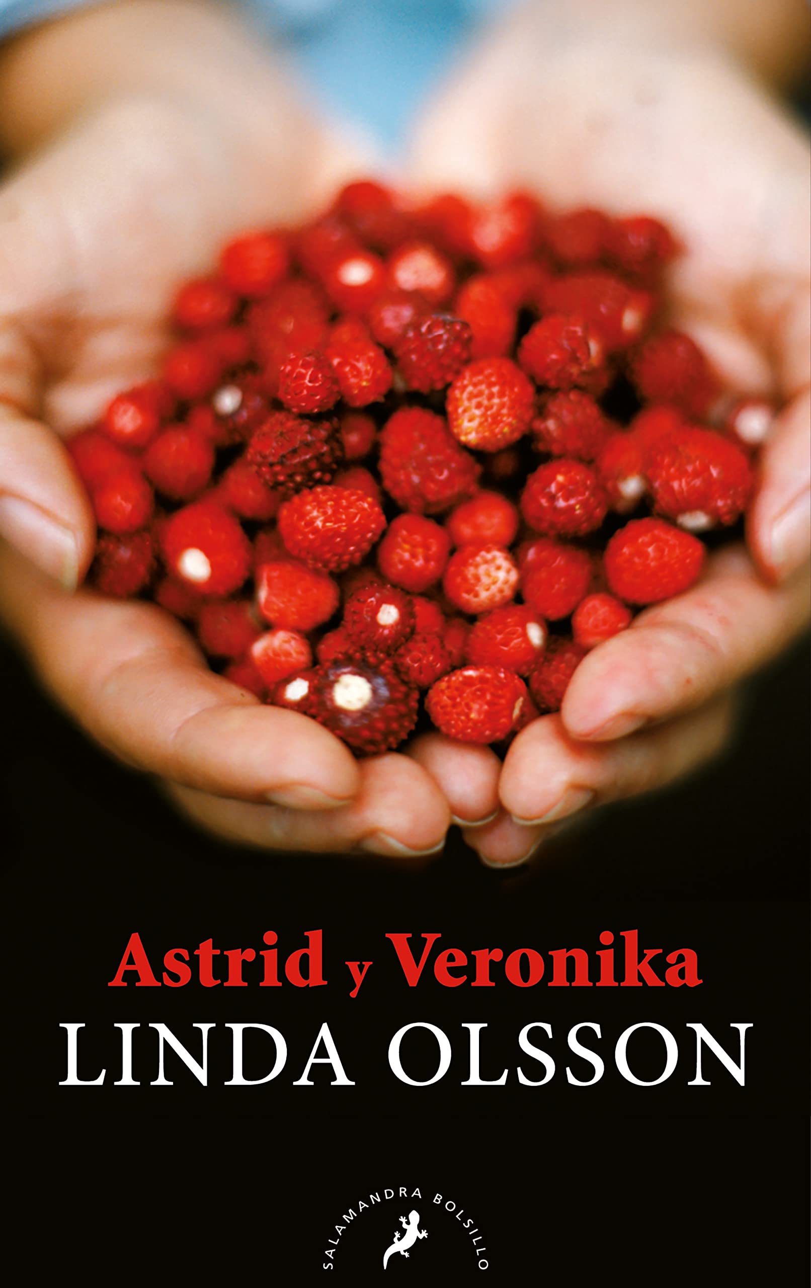 Astrid y Veronika/ Astrid & Veronika book