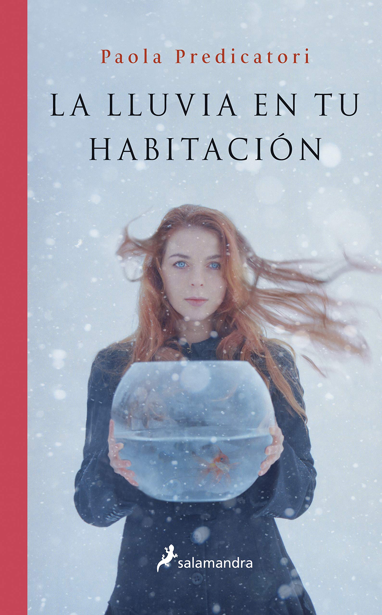 La lluvia en tu habitaci=n / Rainfall In Your Room book