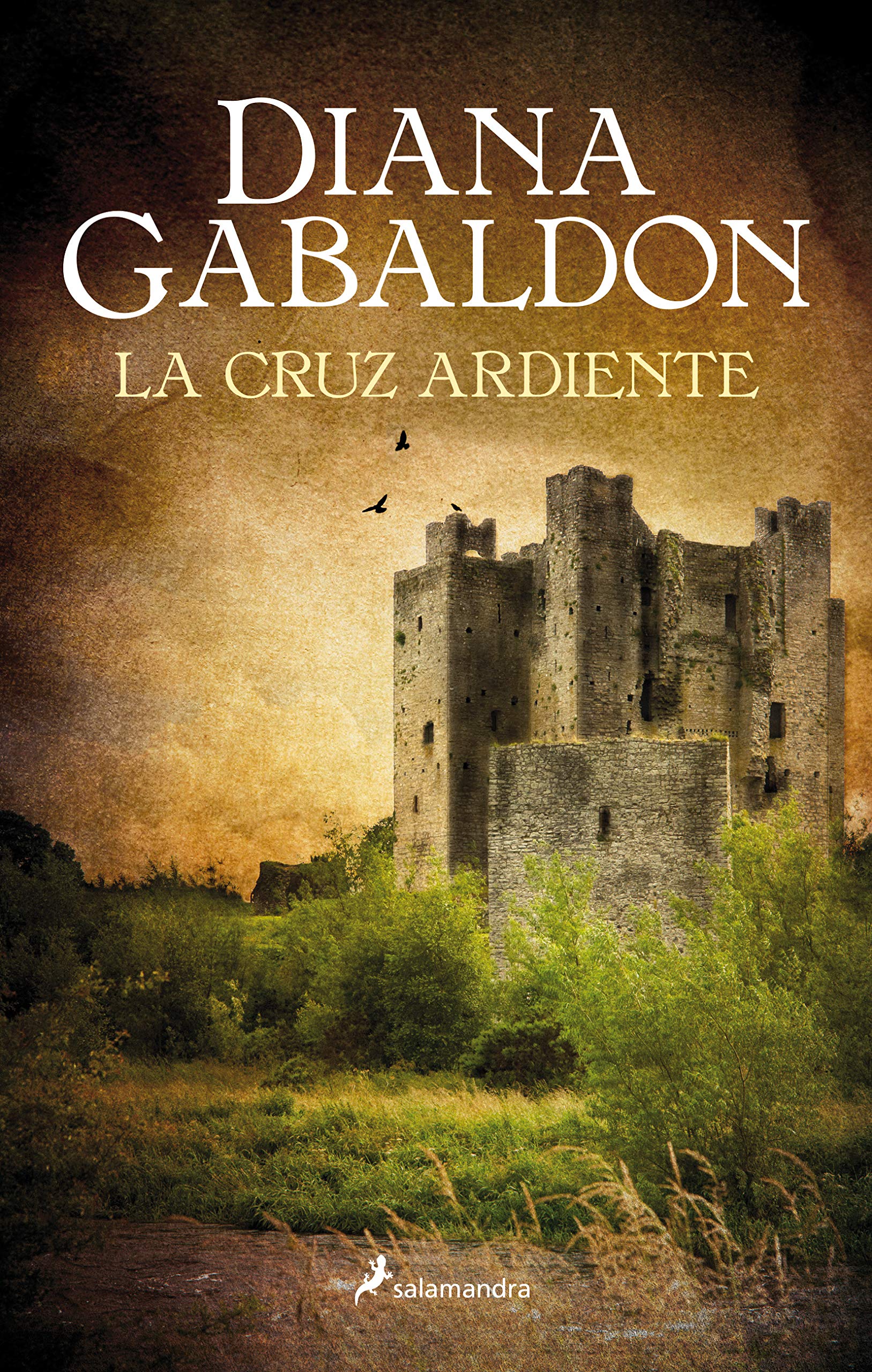 La cruz ardiente/ The Fiery Cross book